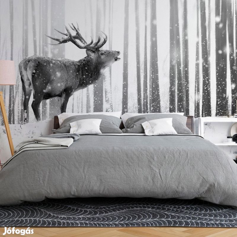 Fotótapéta - Szarvas a hóban 1