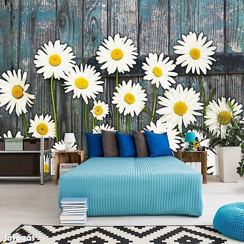 Fotótapéta - Százszorszép 1