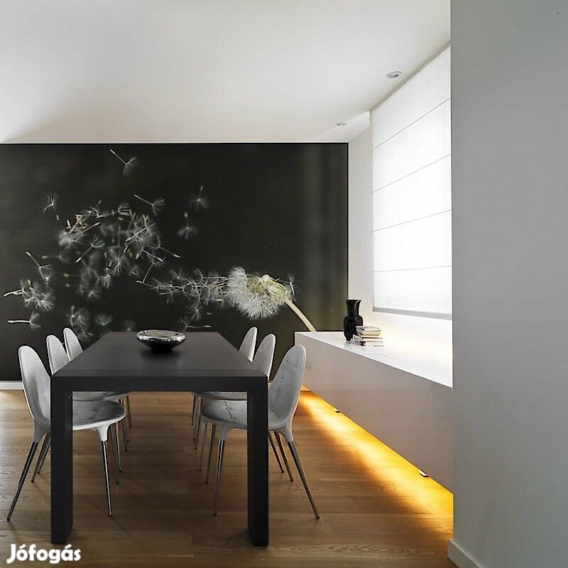 Fotótapéta - Szellő szárnyán