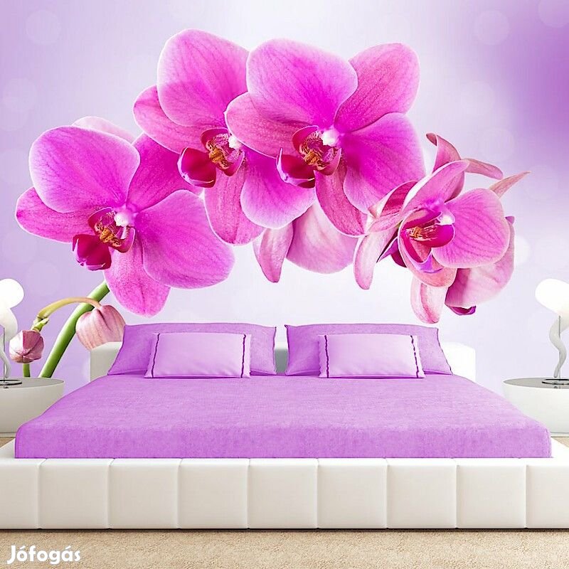 Fotótapéta - Szépség