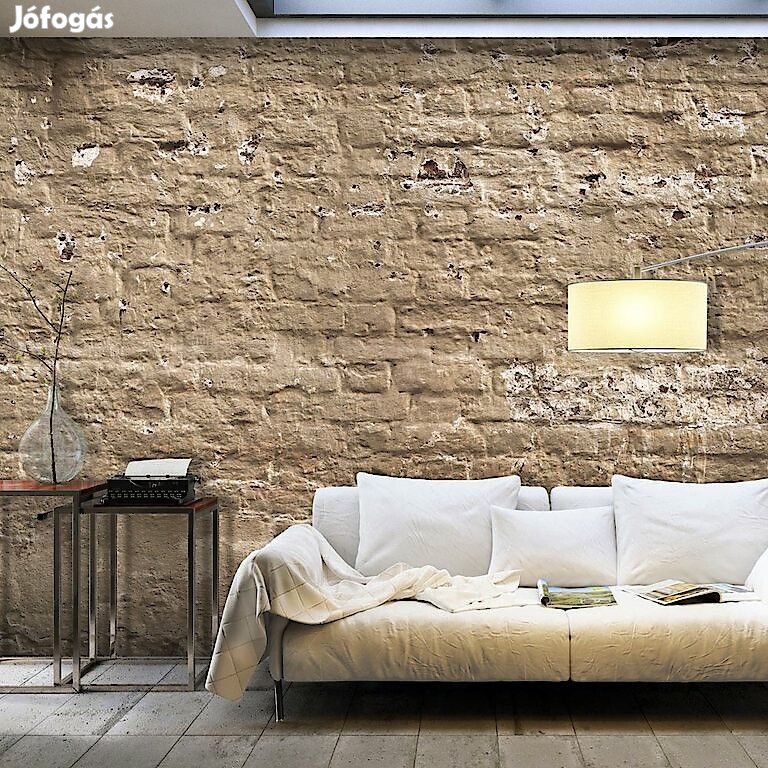 Fotótapéta - Téglafal előtt 2