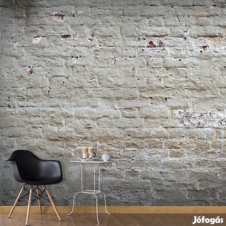 Fotótapéta - Téglafal előtt