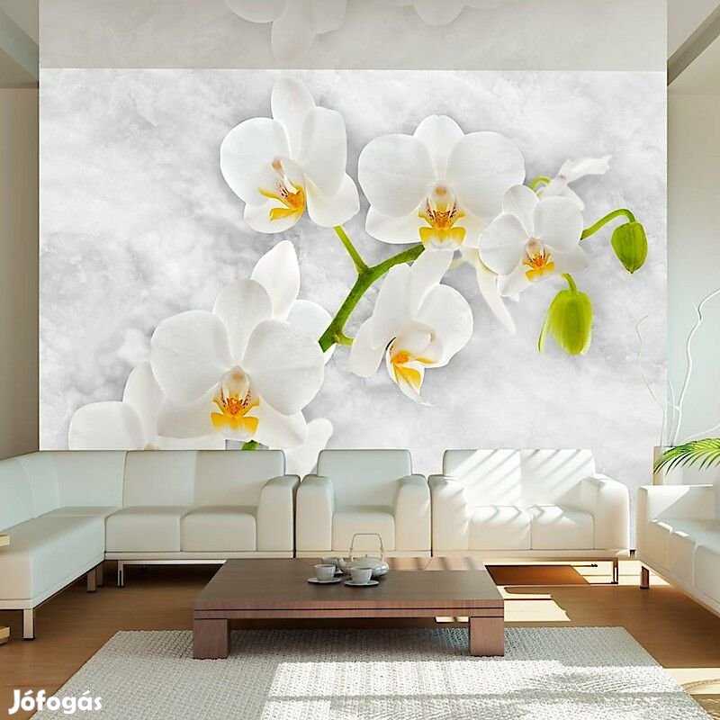 Fotótapéta - Tiszta álom