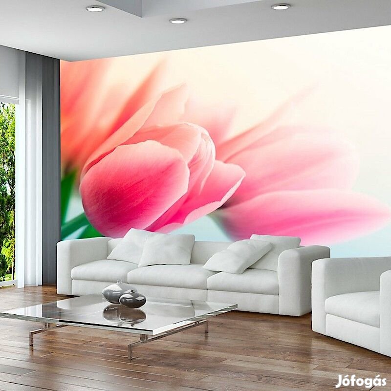 Fotótapéta - Tulipán árnyak