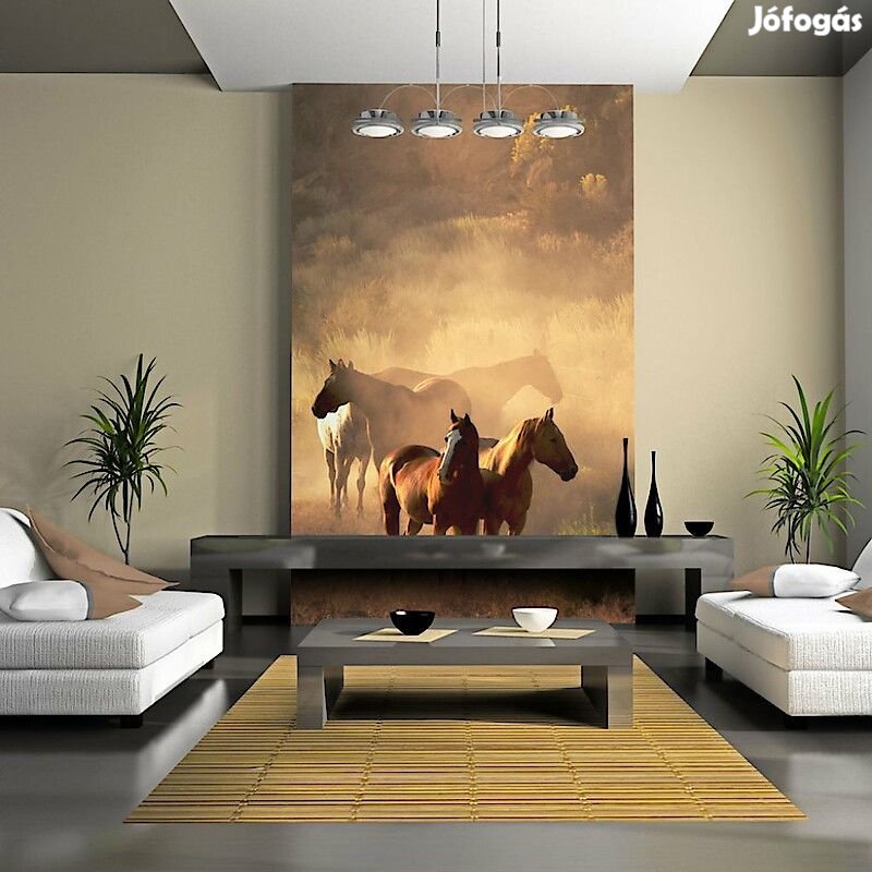 Fotótapéta - Vad lovak a steppe