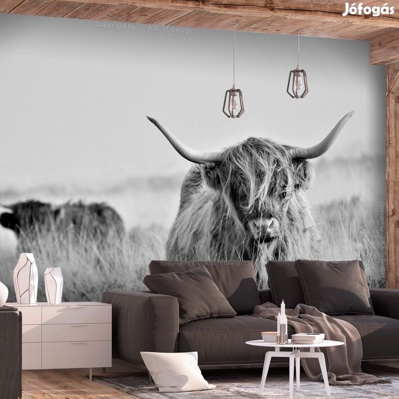 Fotótapéta - Vad tekintet