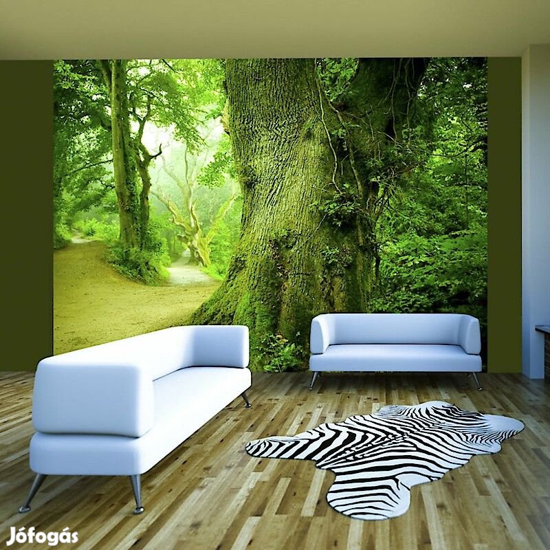 Fotótapéta - Vastag fák közt