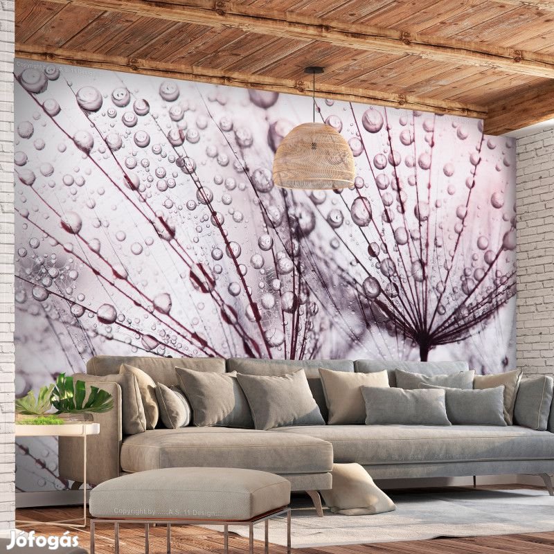 Fotótapéta - Virágok az esőben