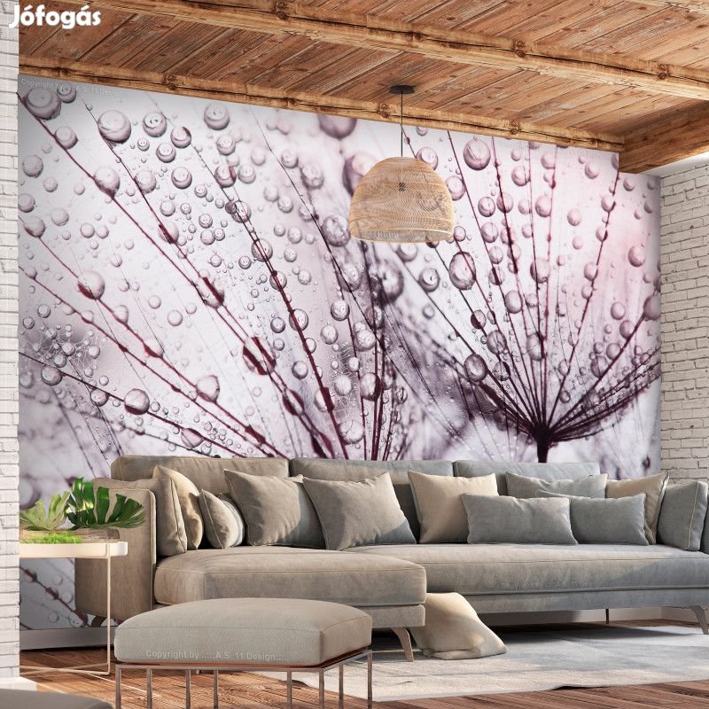 Fotótapéta - Virágok az esőben