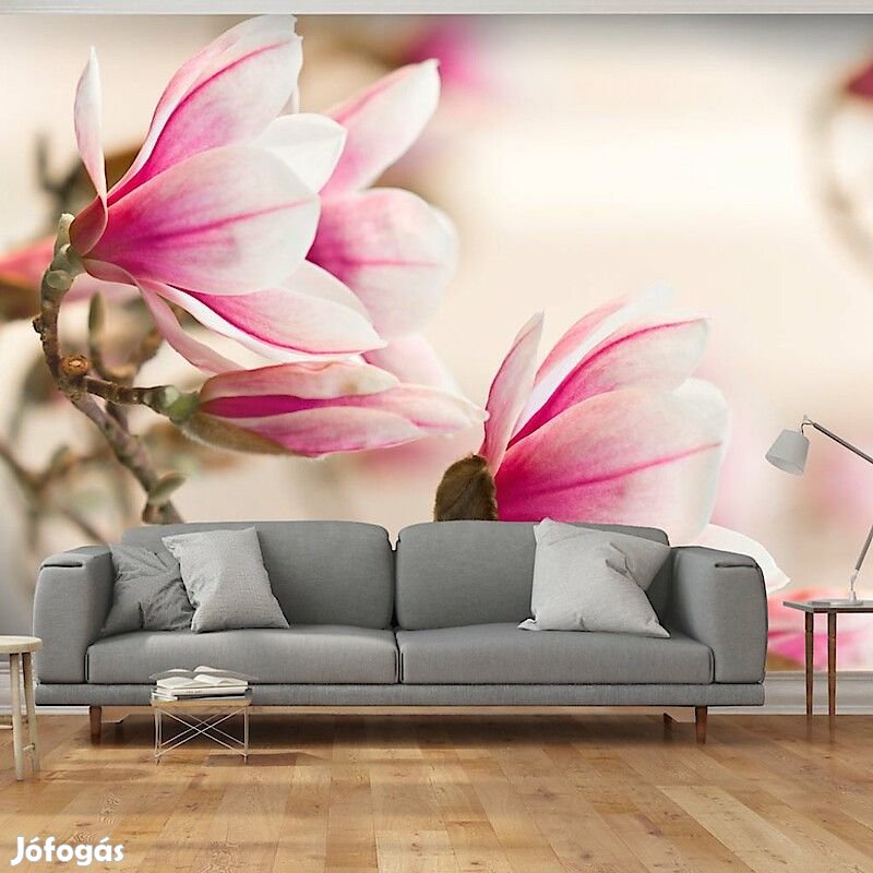Fotótapéta - Virágzó magnólia fa