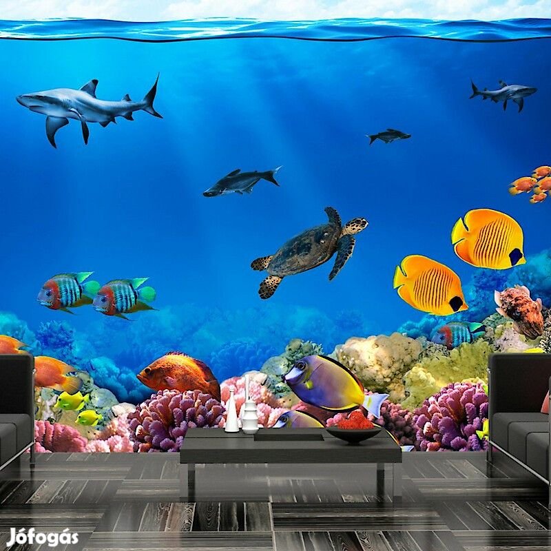 Fotótapéta - Vízalatti világ