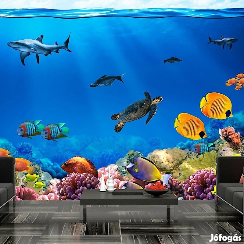 Fotótapéta - Vízalatti világ