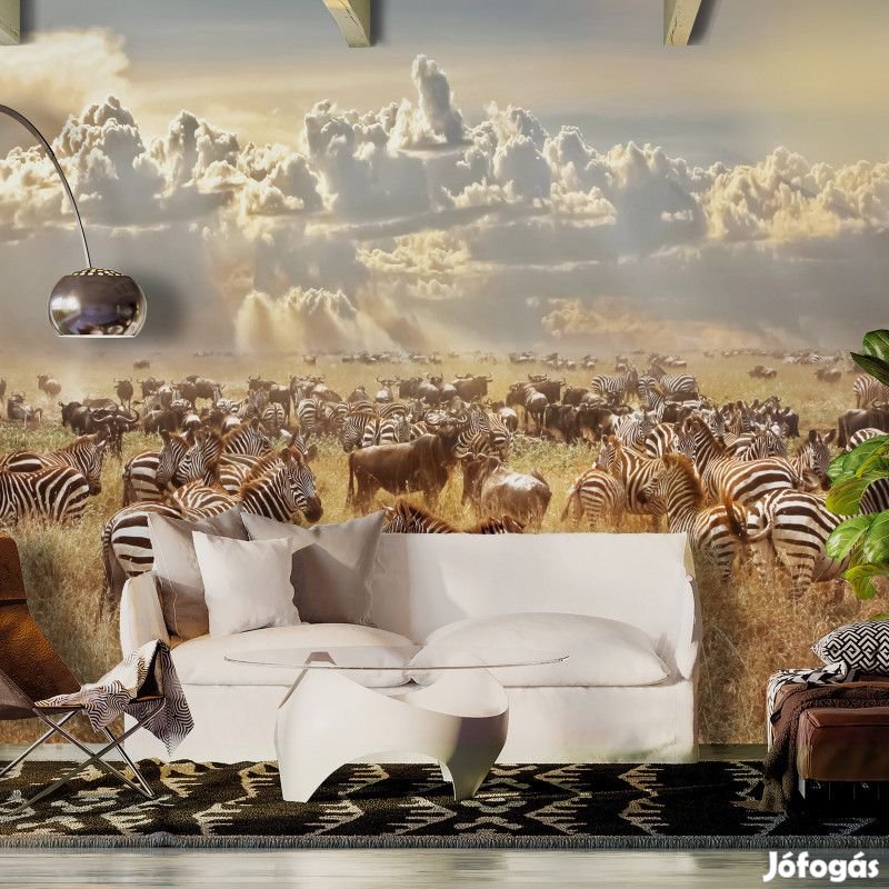 Fotótapéta - Zebrák földjén