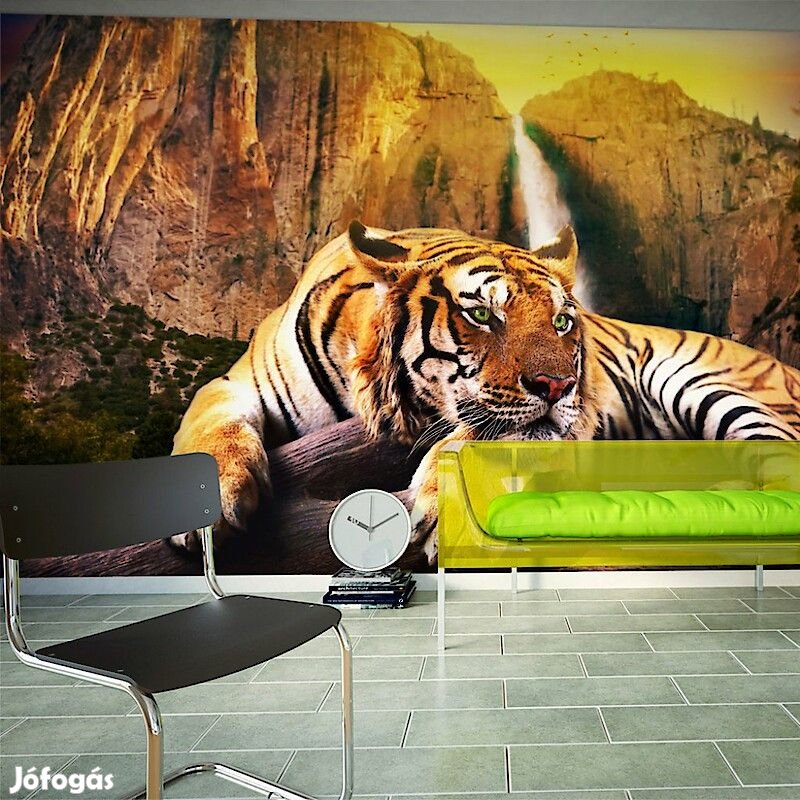 Fotótapéta - Zöld szemű tigris 2