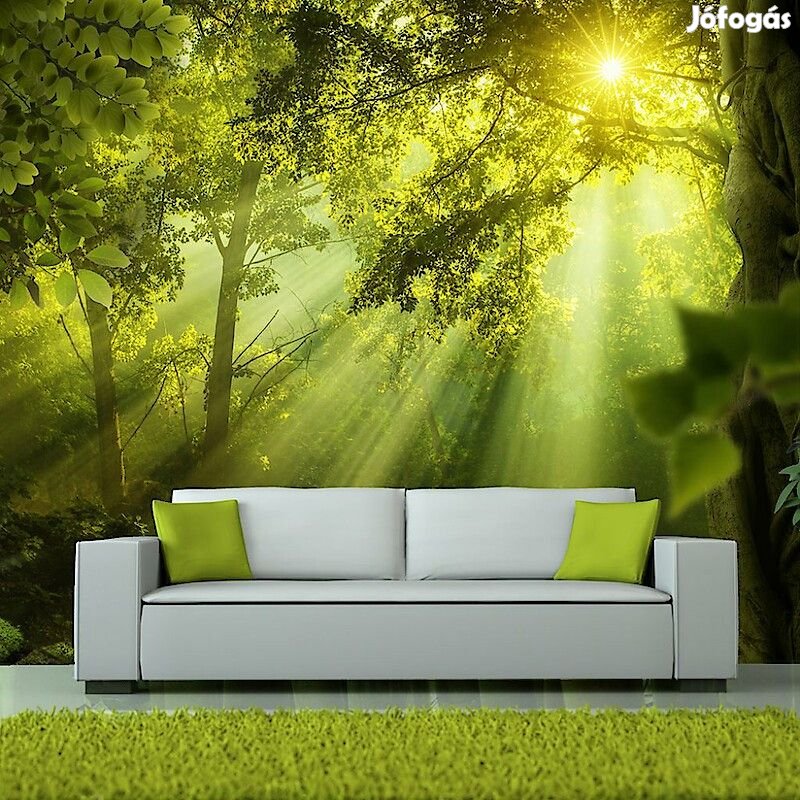 Fotótapéta - Átvilágítva