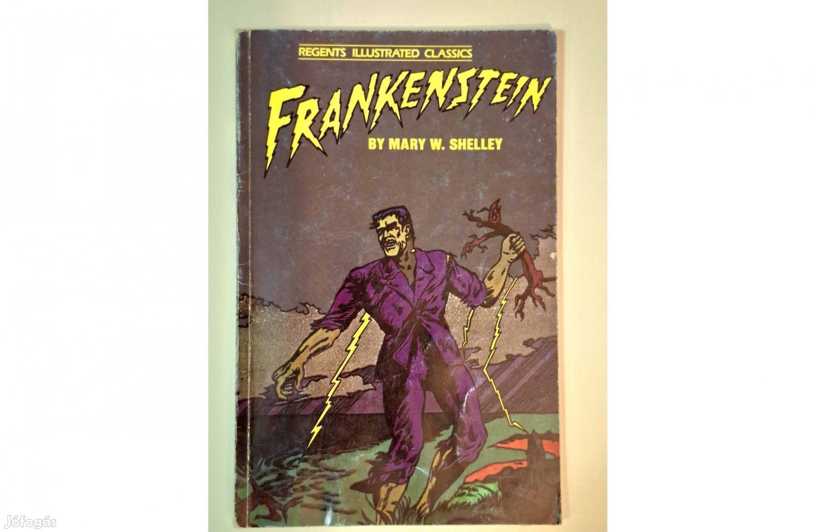 Frankenstein- Mary W. Shelley- angol nyelvű képregény
