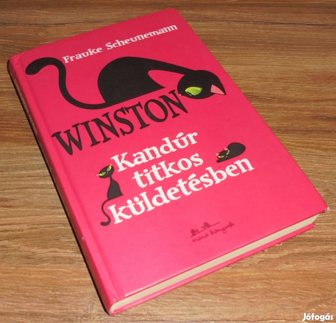 Frauke Scheunemann Winston - Kandúr titkos küldetésben