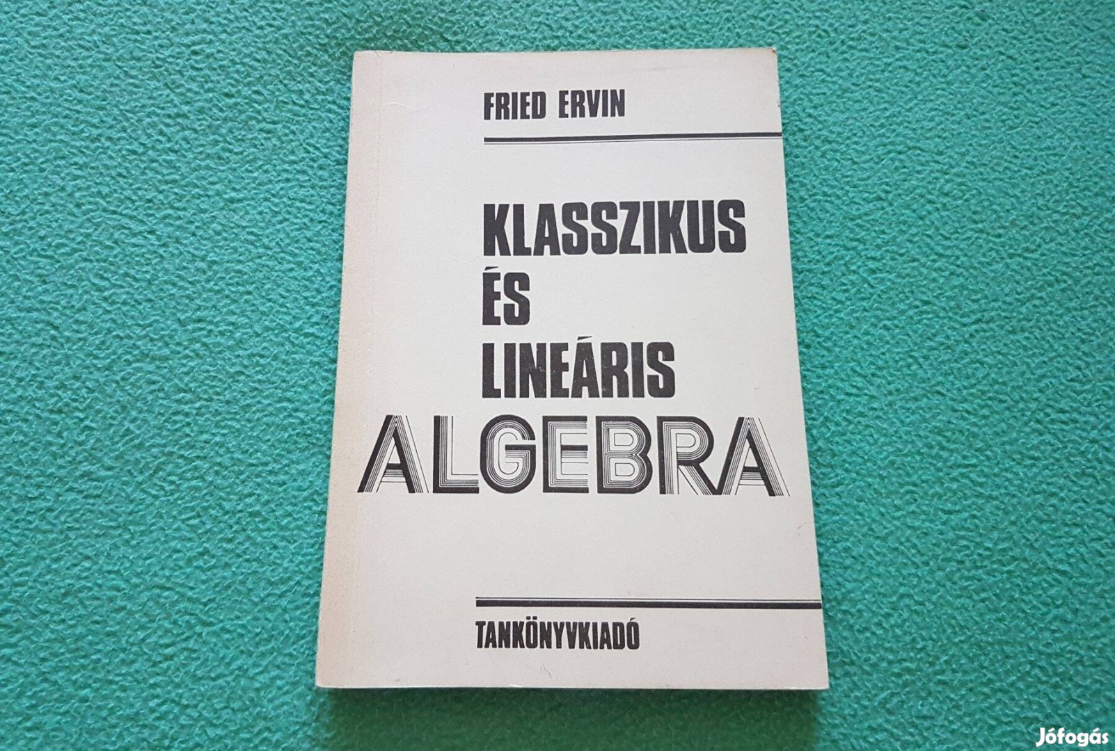 Fried Ervin Klasszikus és lineáris algebra könyv