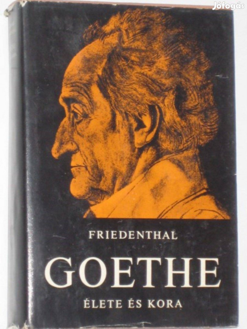 Friedenthal Goethe élete és kora