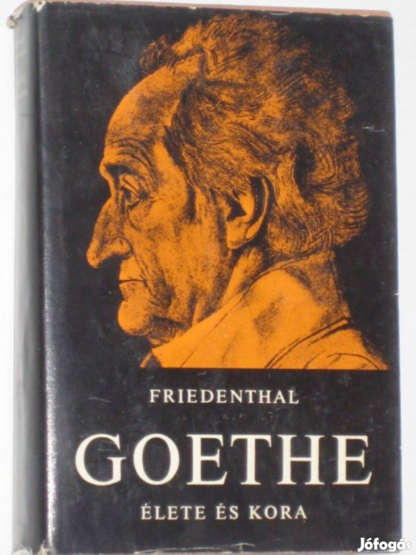Friedenthal Goethe élete és kora