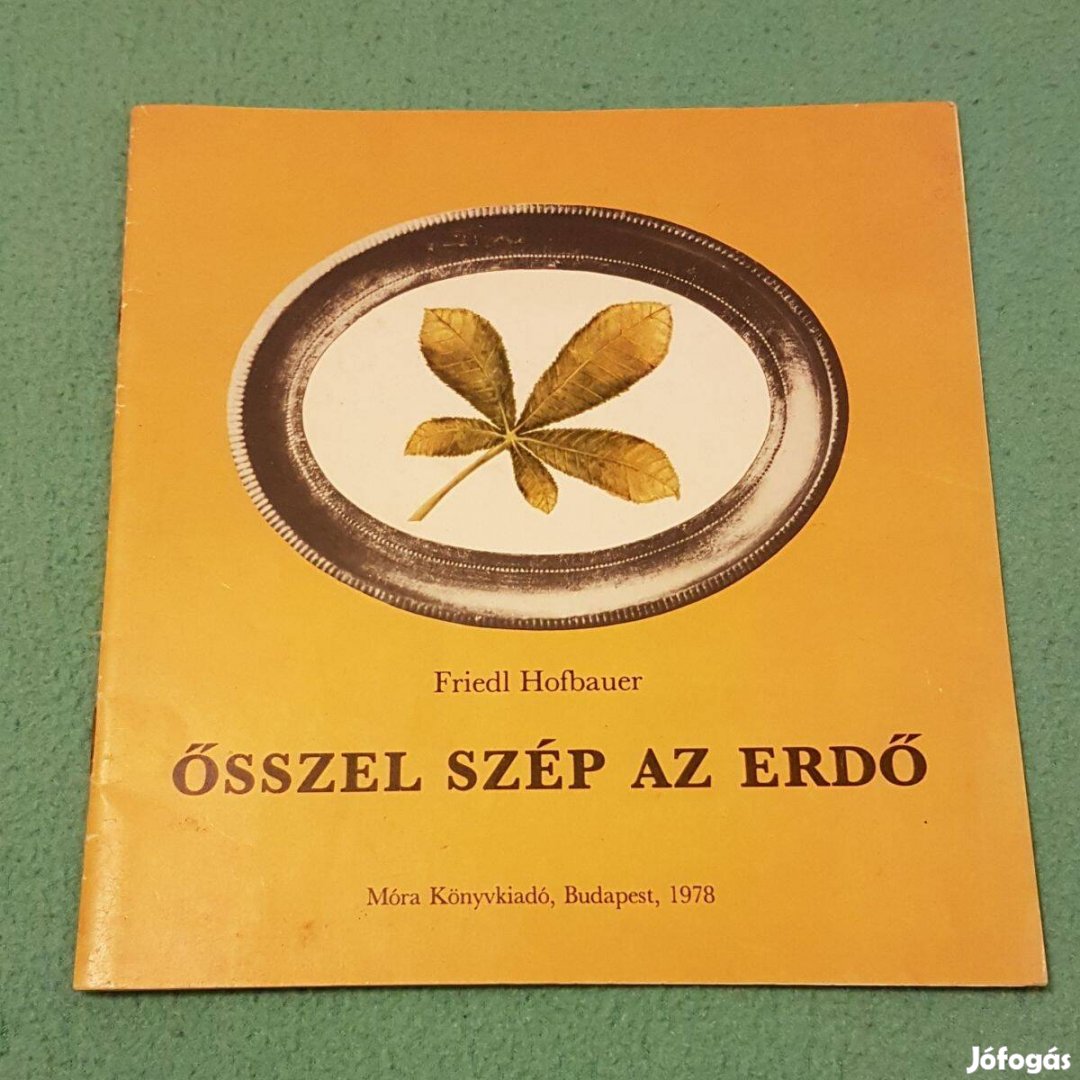 Friedl Hofbauer - Ősszel szép az erdő könyv