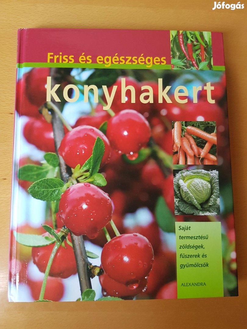 Friss és egészséges konyhakert