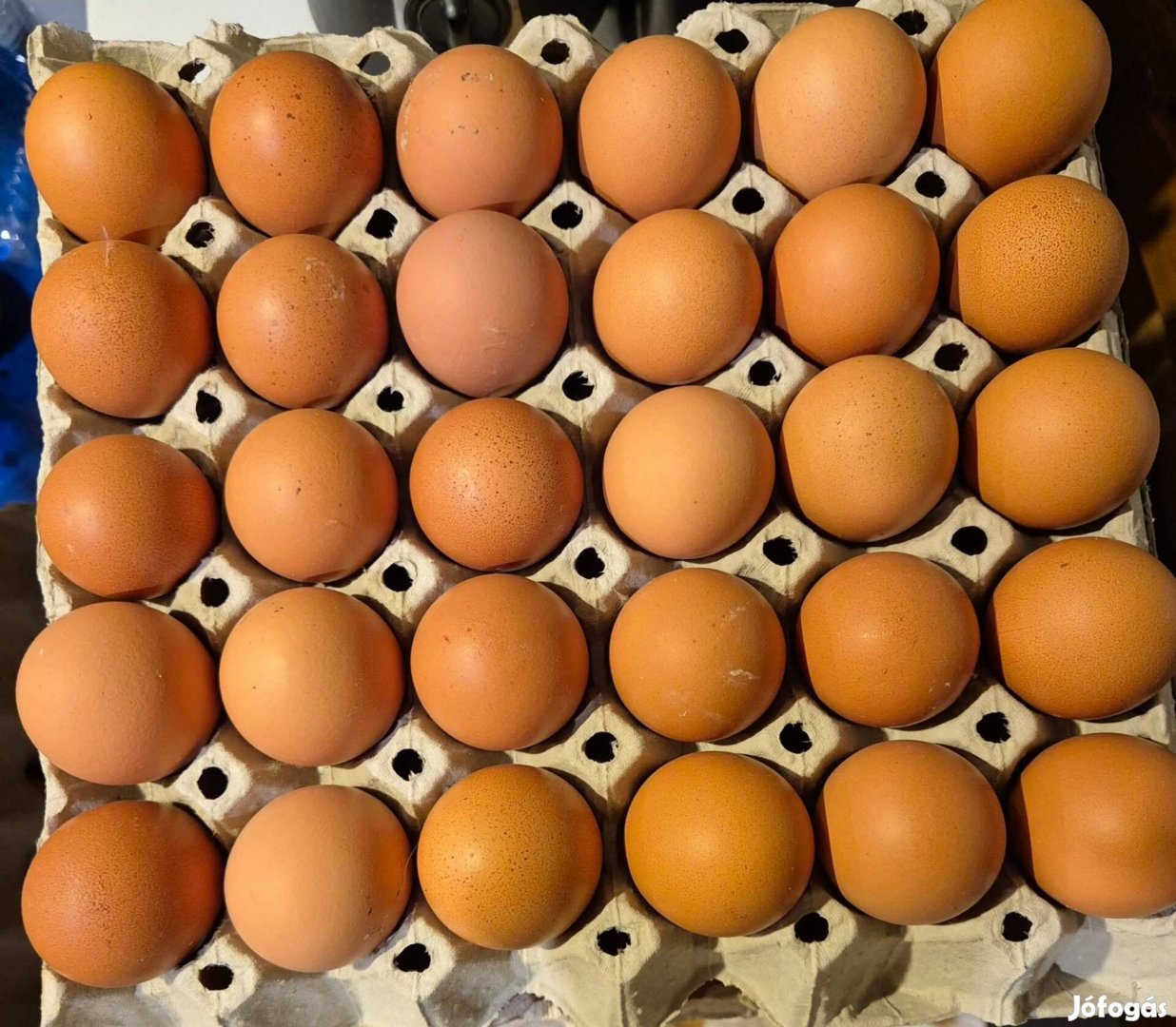 Friss étkezési tojás