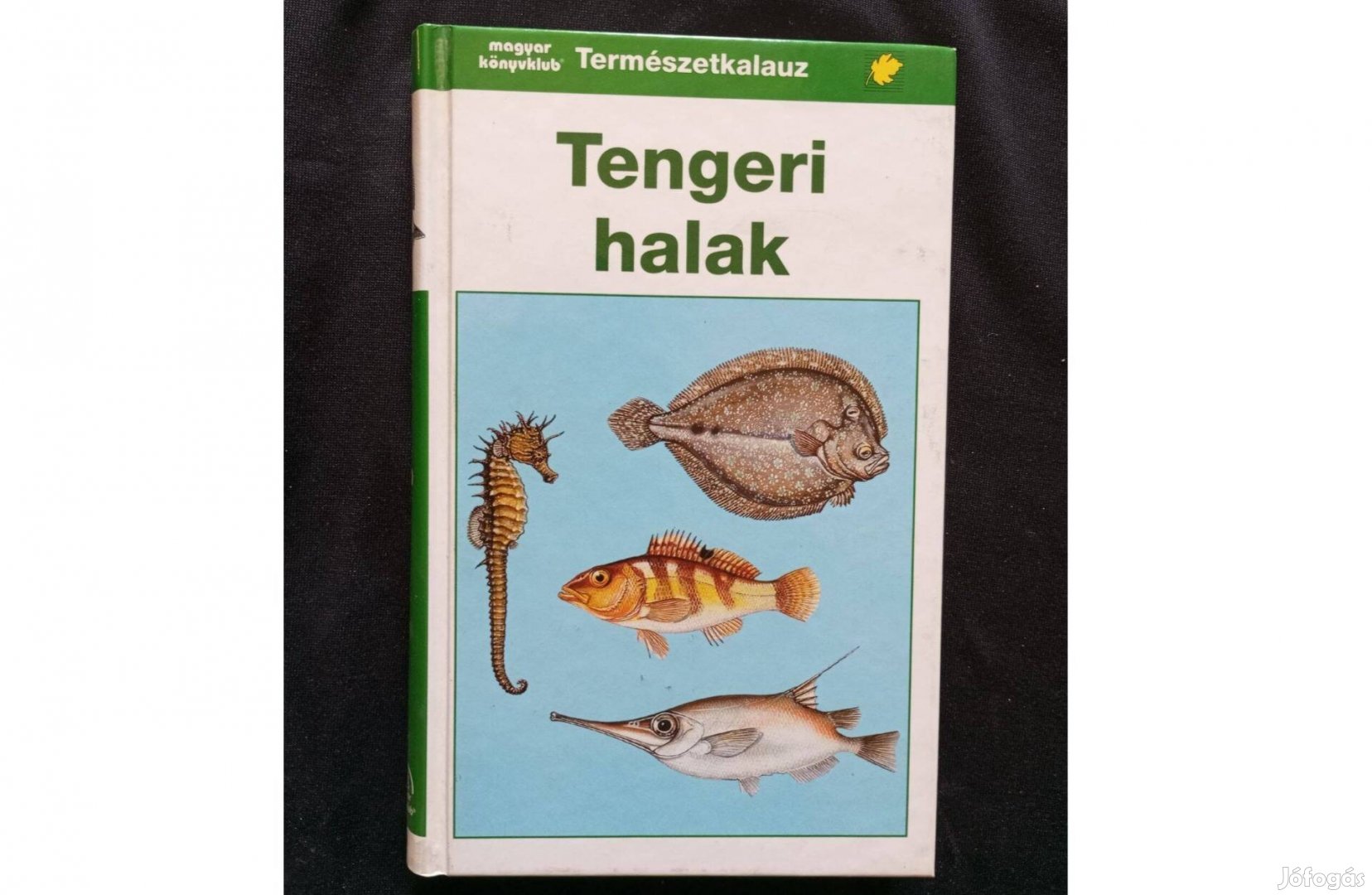 Fritz Terofal Tengeri halak