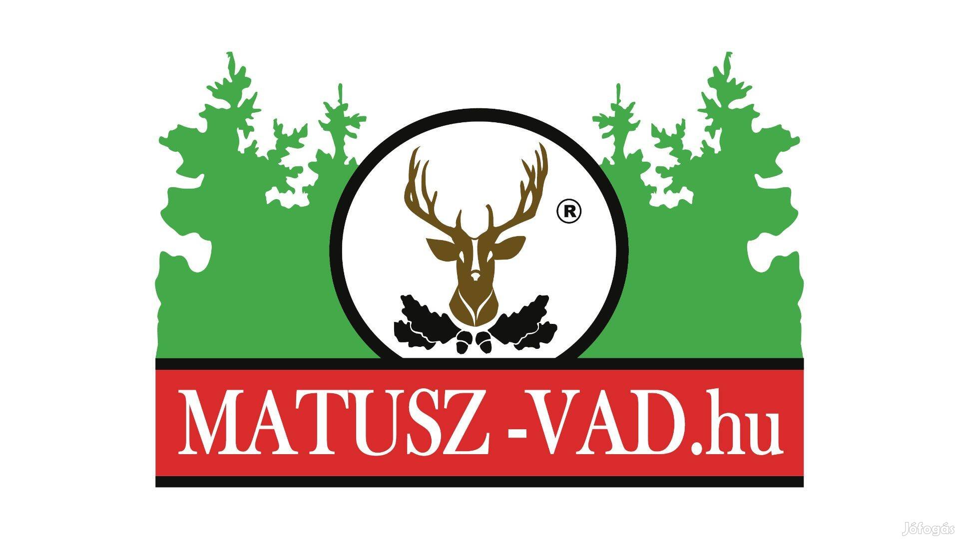 Frontend fejlesztőt keresünk győri/budapesti munkavégzéssel!