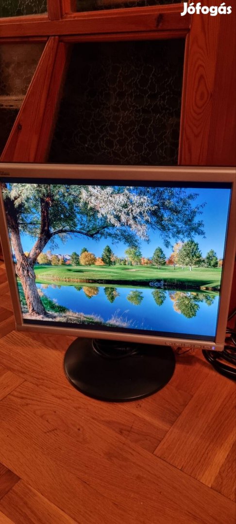 Fujitsu siemens 17"LCD monitor 