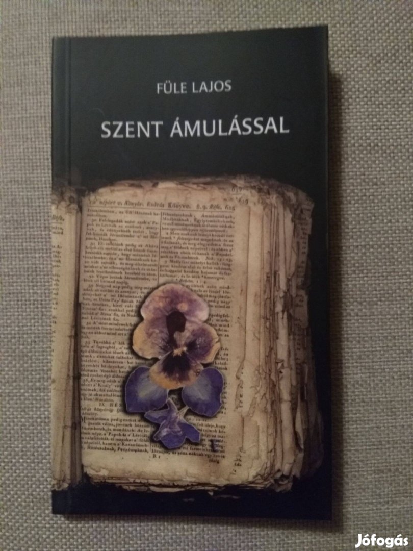 Füle Lajos Szent ámulással