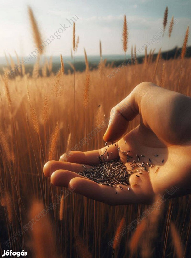 Fűmagkeverék, 7 összetevővel, fémzároltan eladó, postai