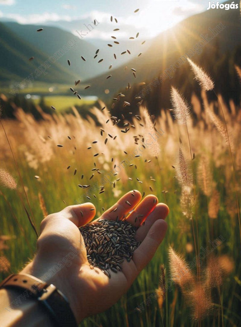 Fűmagkeverék, fűmag AKG ugar szálas 1 eladó postai