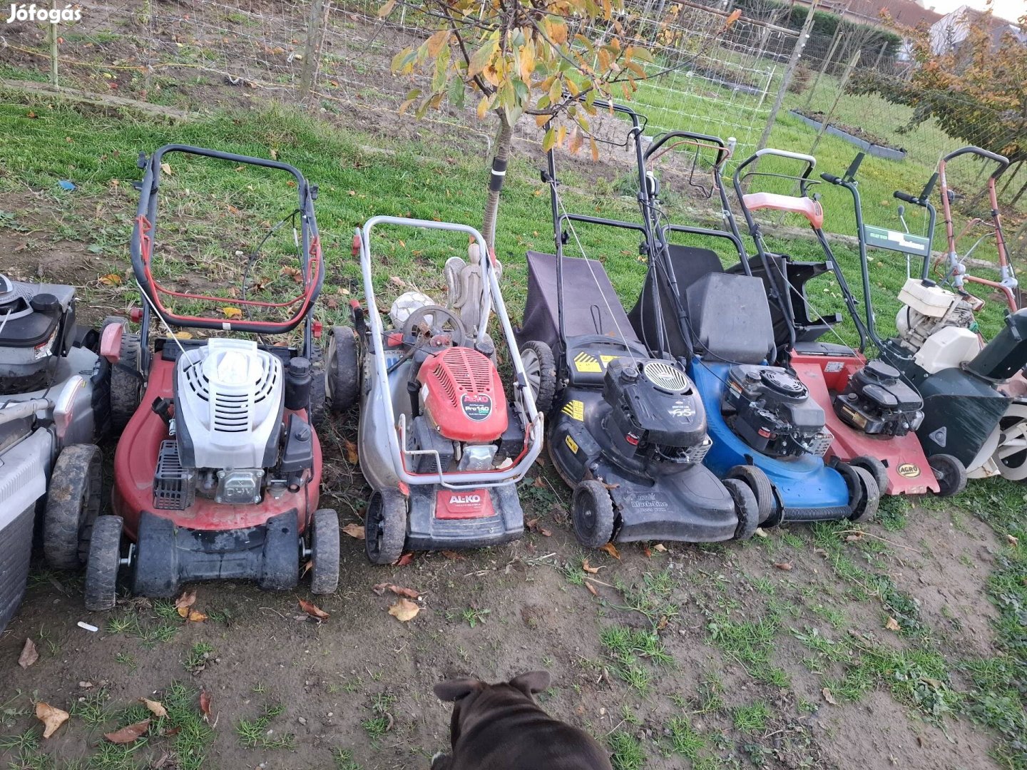 Fűnyírók, kerékpárok eladók