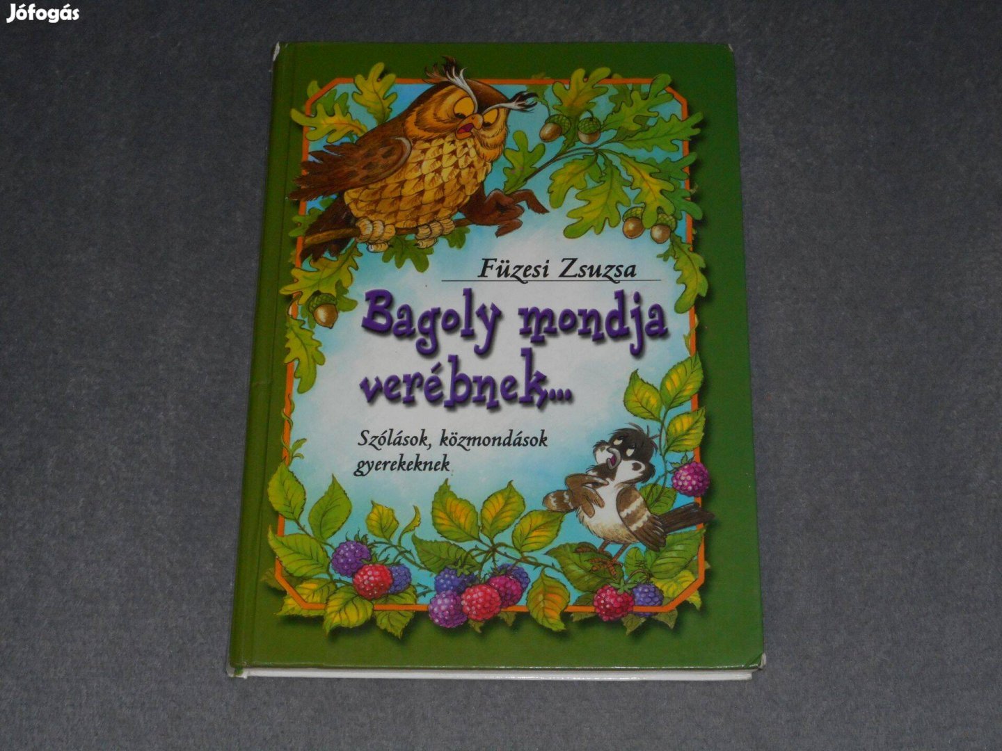 Füzesi Zsuzsa Bagoly mondja verébnek Szólások, közmondások gyerekeknek