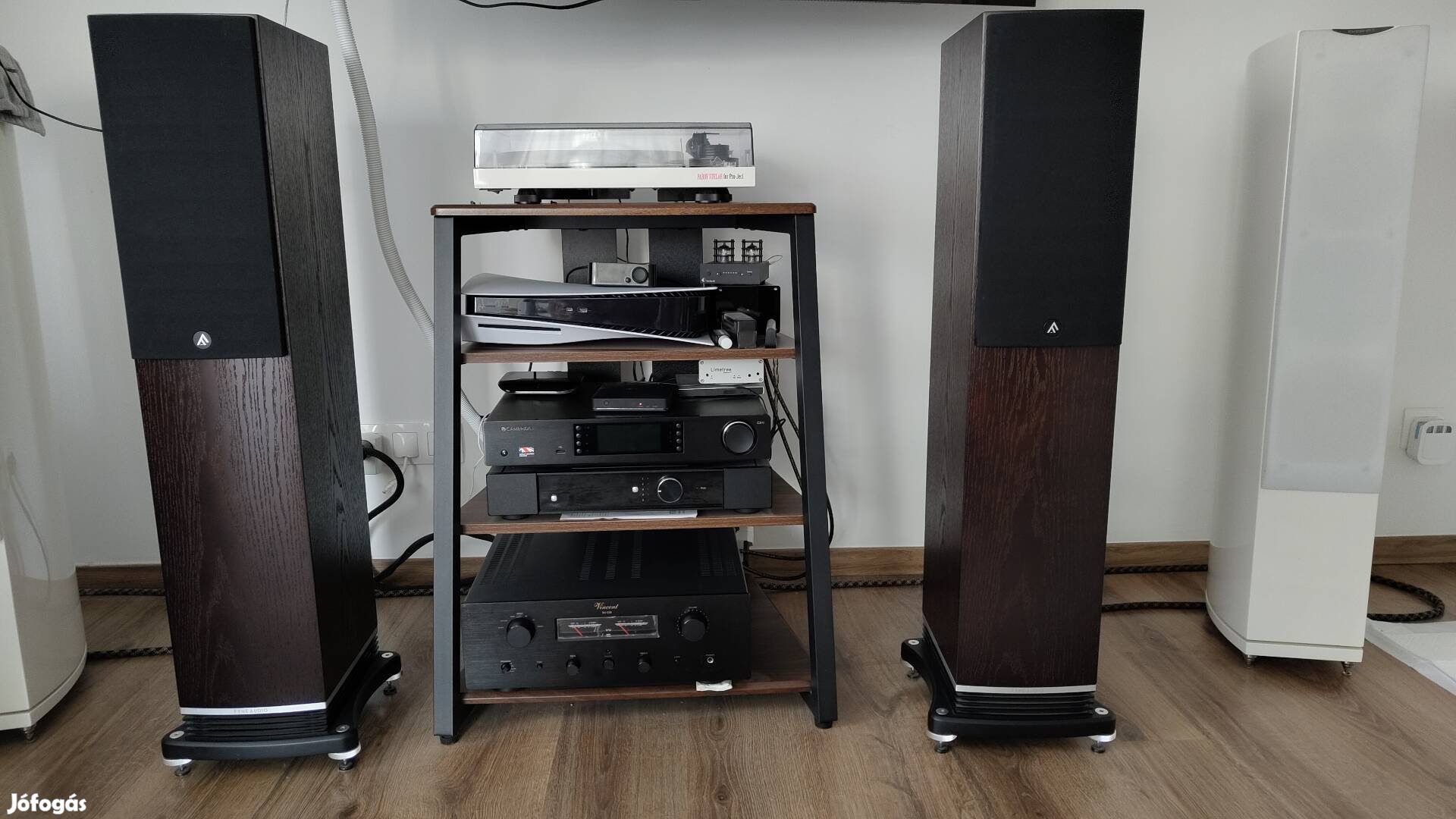 Fyne audio F501 Hangfal Hangfalpár Dark oak garanciás