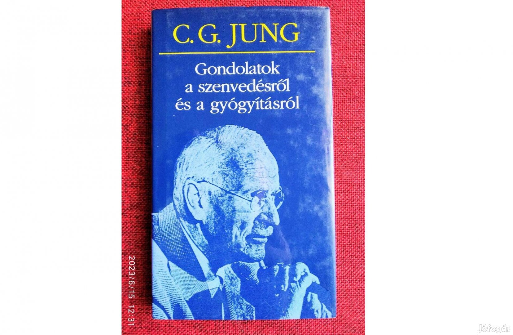 G.G.Jung Gondolatok a A szenvedésről és a gyógyításról Olvasatlan