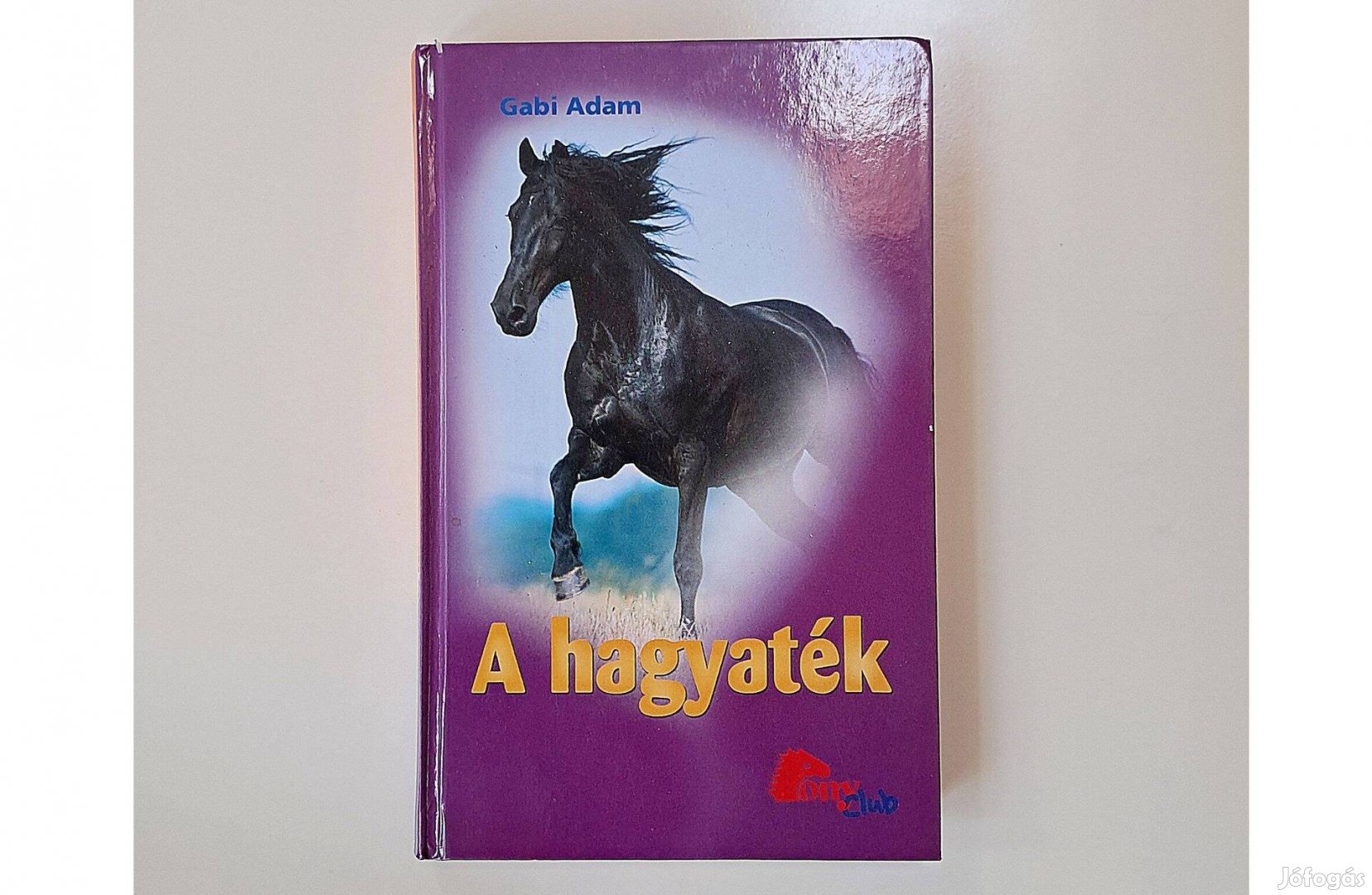 Gabi Adam: A hagyaték (Pony Club-os könyv)