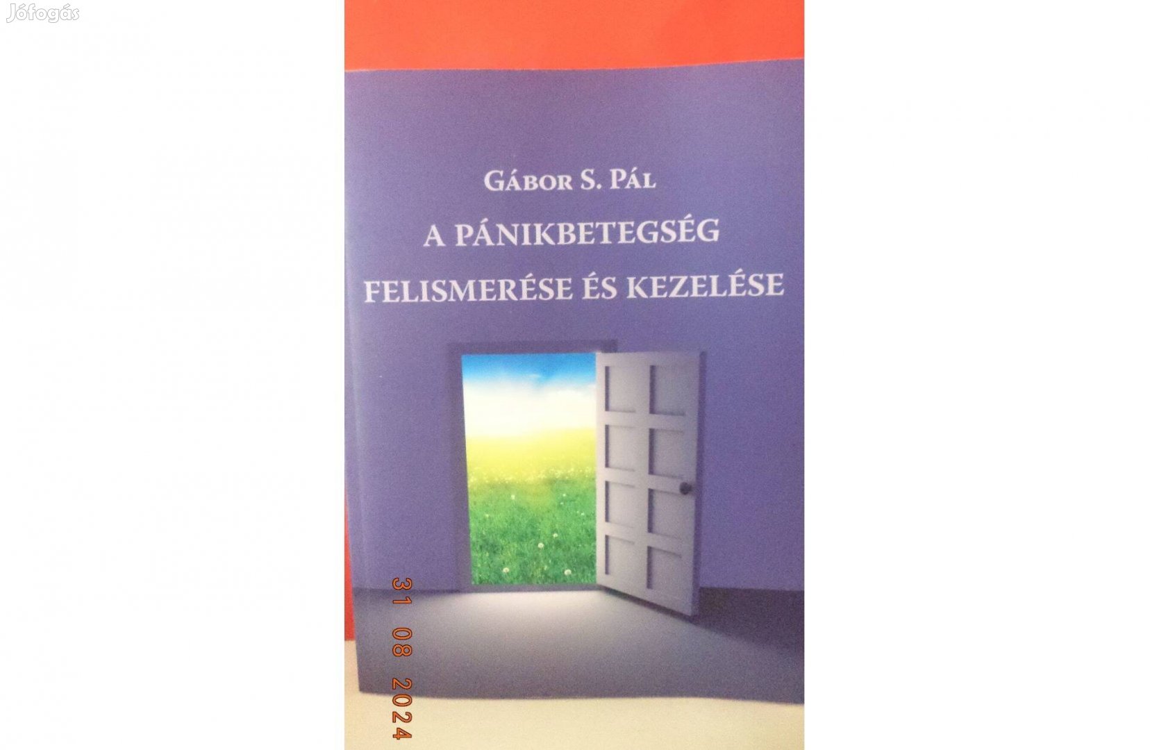 Gábor S. Pál: A pánikbetegség felismerése és kezelése