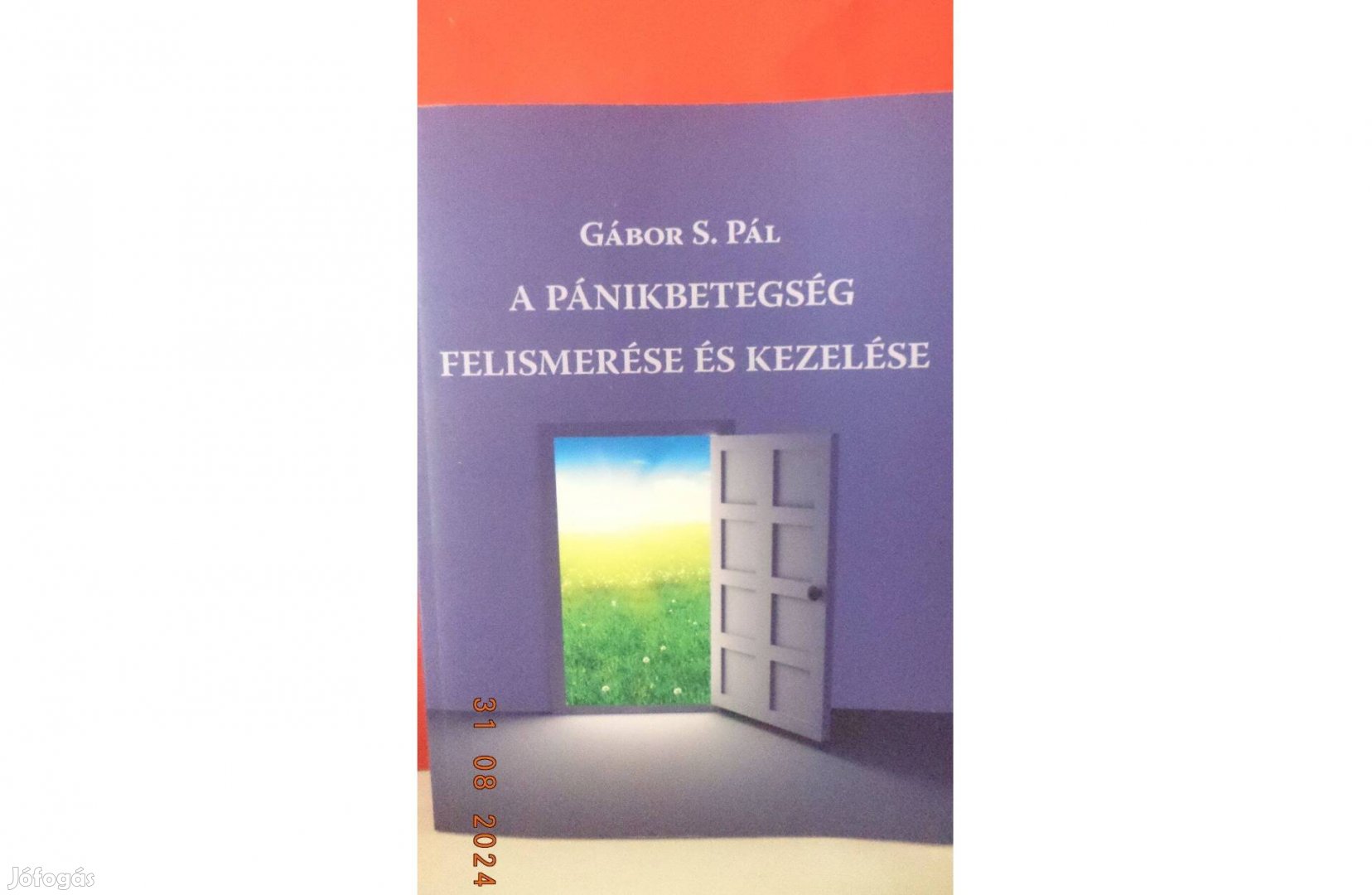 Gábor S. Pál: A pánikbetegség felismerése és kezelése