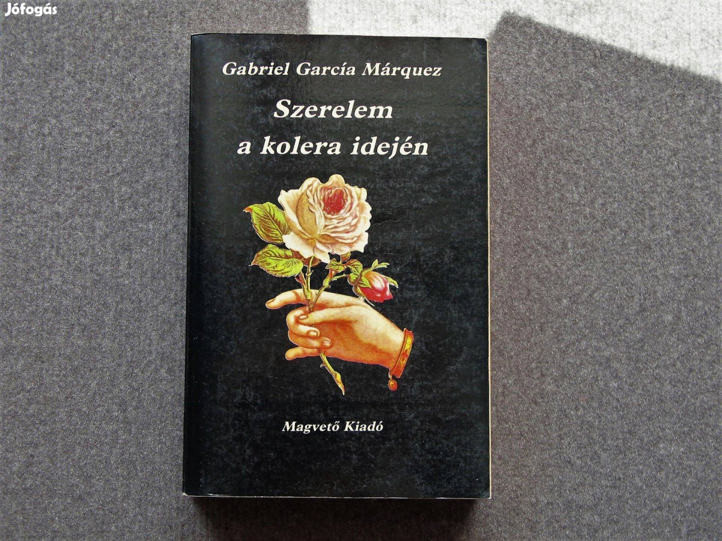 Gabriel Garcia Márquez Szerelem a kolera idején