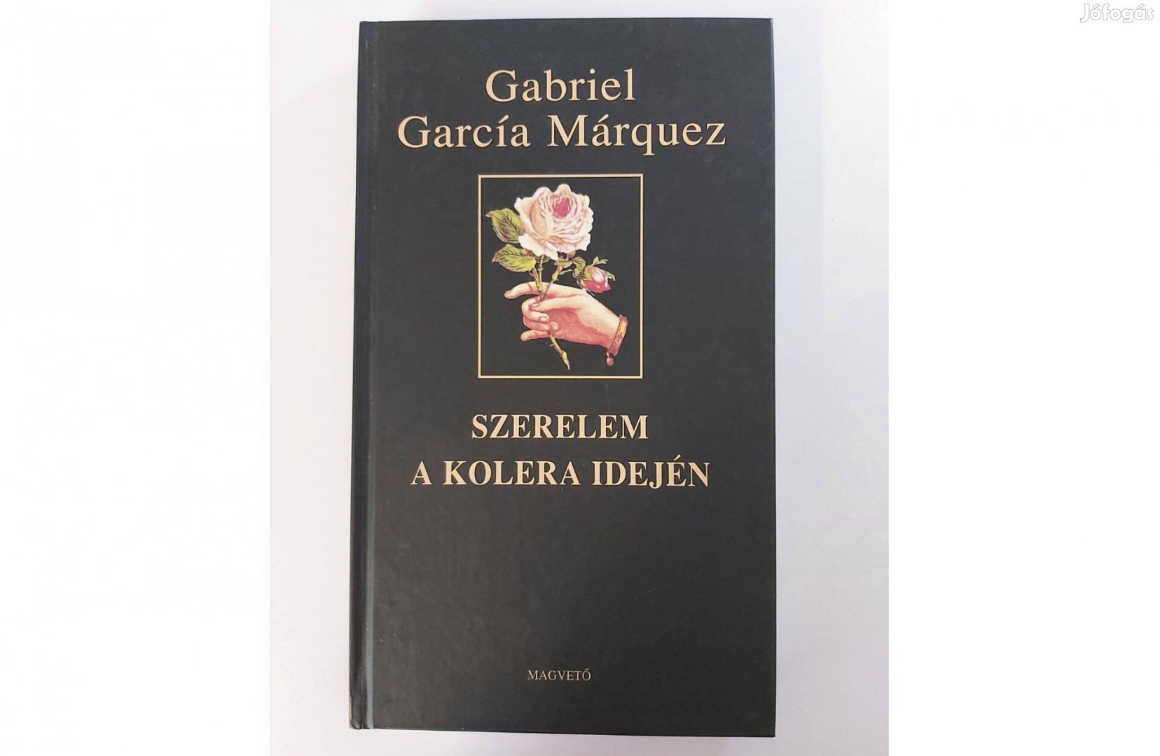 Gabriel García Márquez: Szerelem a kolera idején