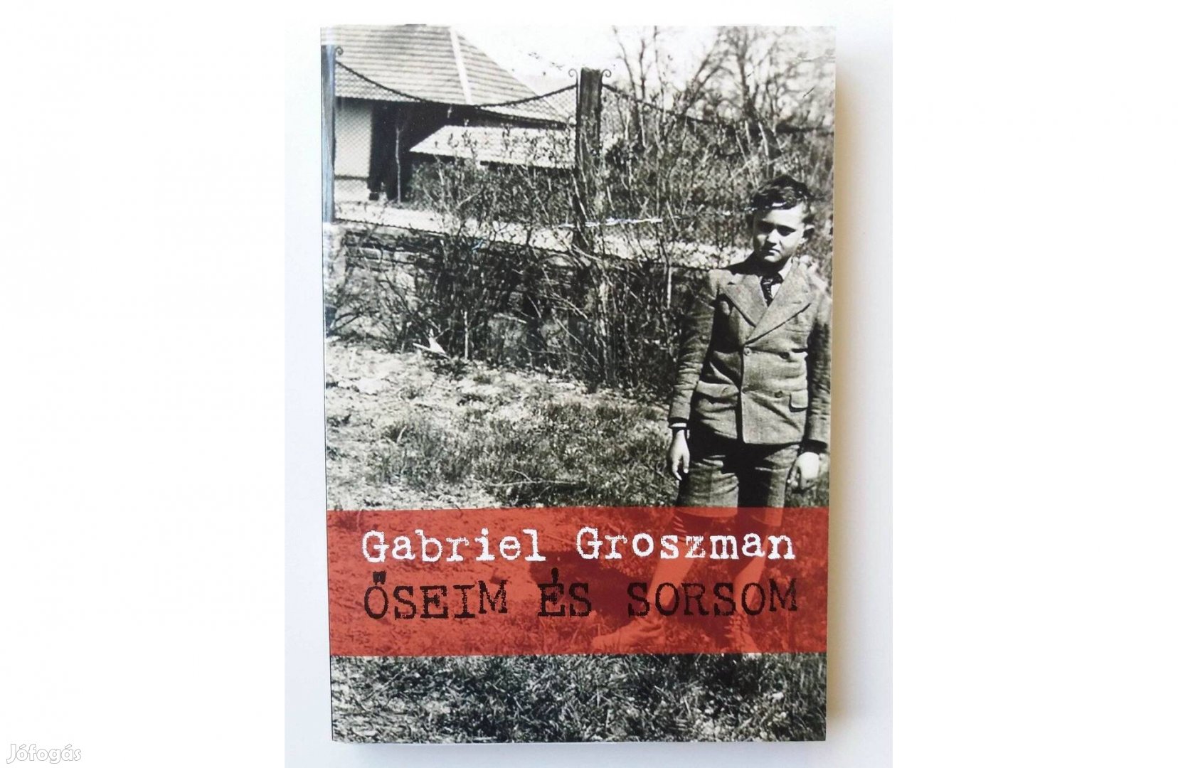 Gabriel Groszman: Őseim és sorsom