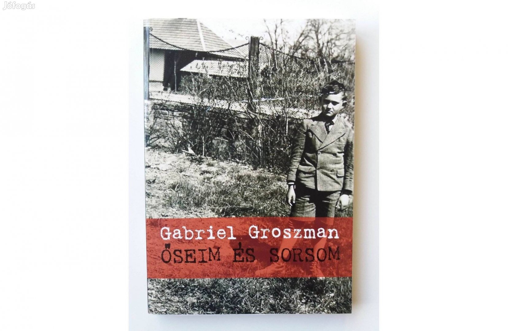 Gabriel Groszman: Őseim és sorsom