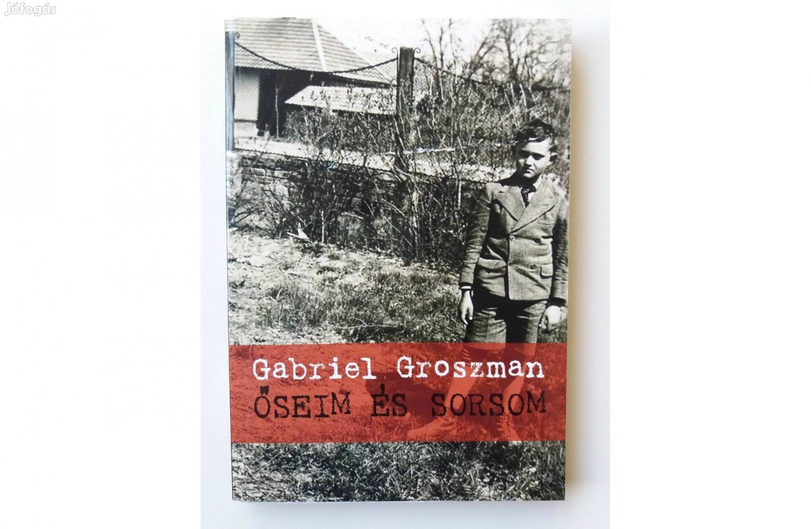 Gabriel Groszman: Őseim és sorsom