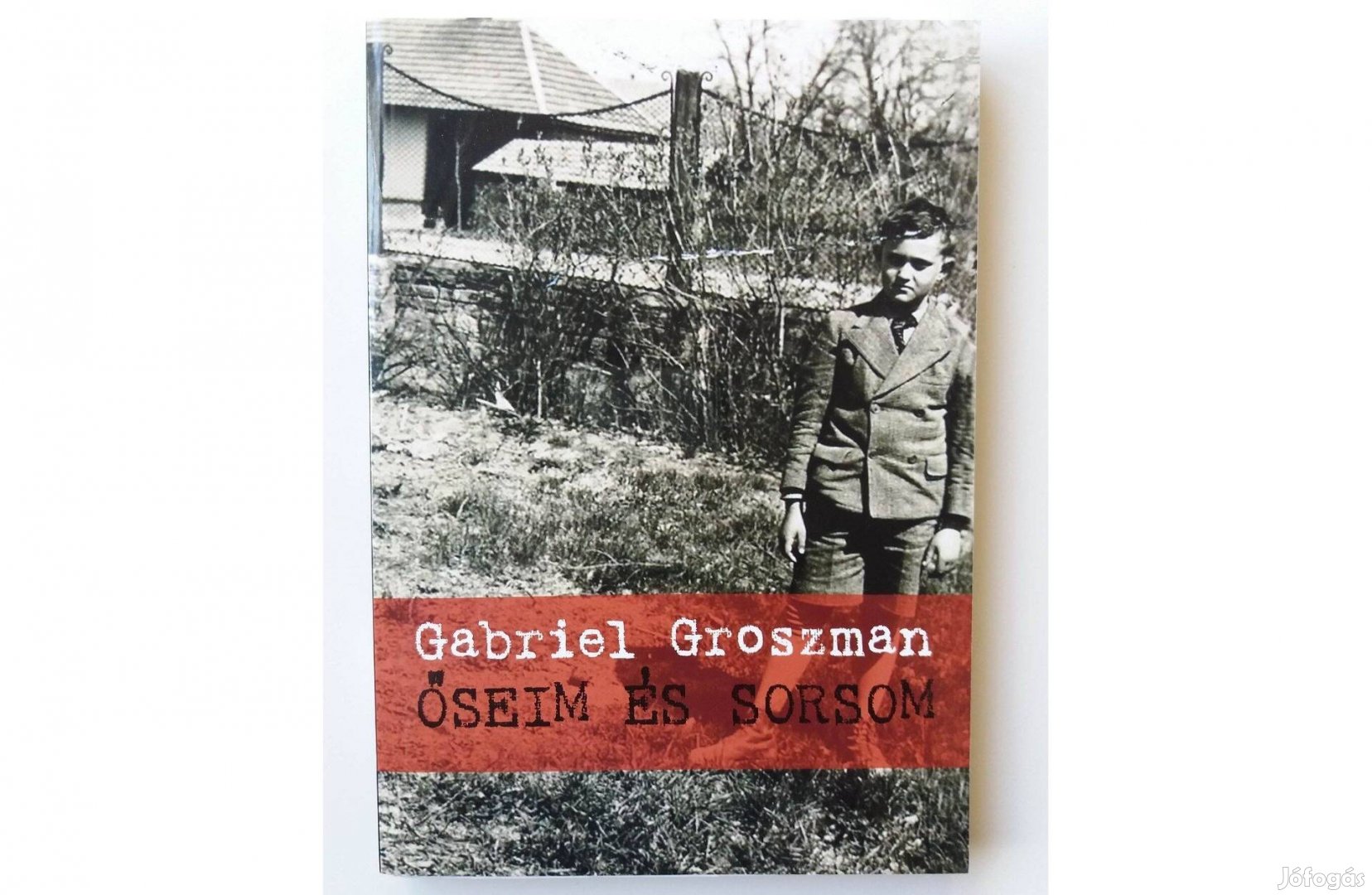 Gabriel Groszman: Őseim és sorsom