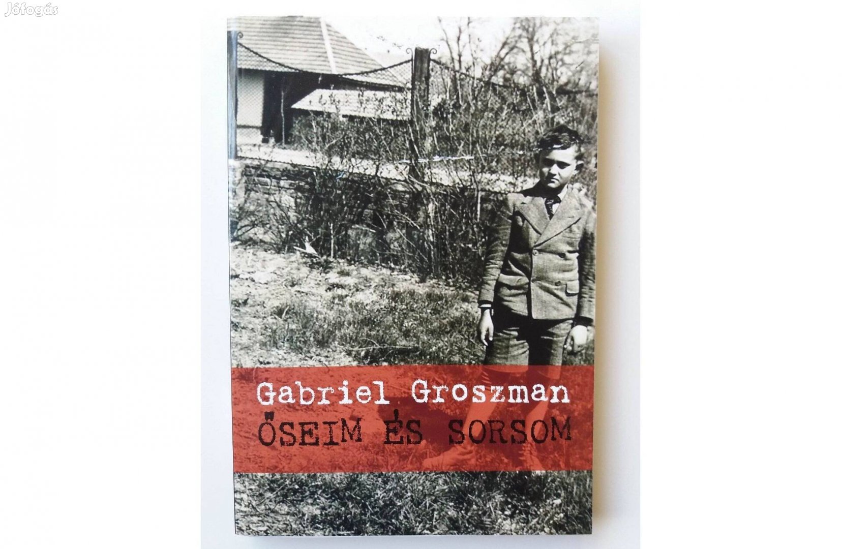 Gabriel Groszman: Őseim és sorsom