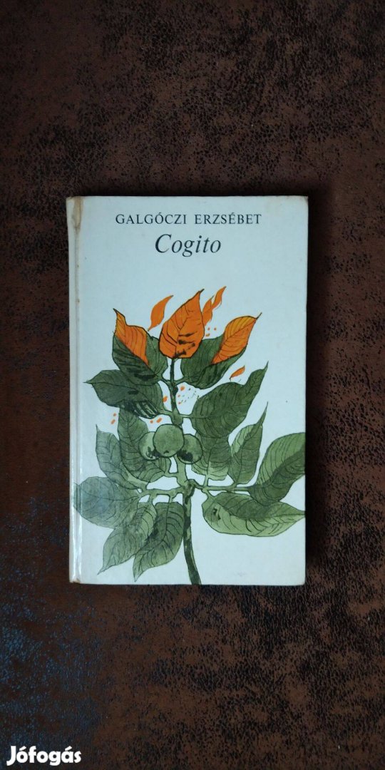 Galgóczi Erzsébet Cogito