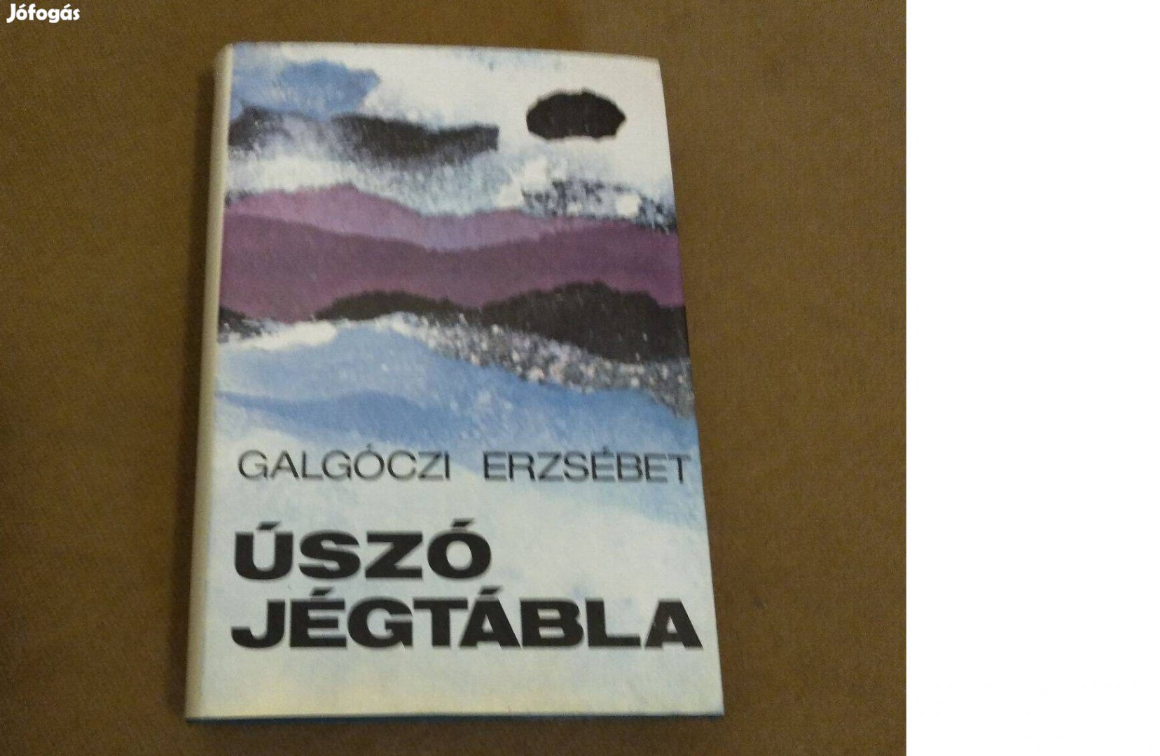 Galgóczi Erzsébet: Úszó jégtábla