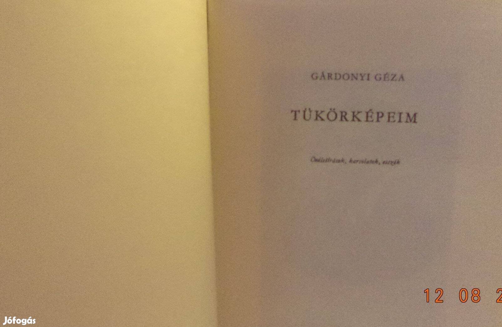 Gárdonyi Géza: Tükörképeim